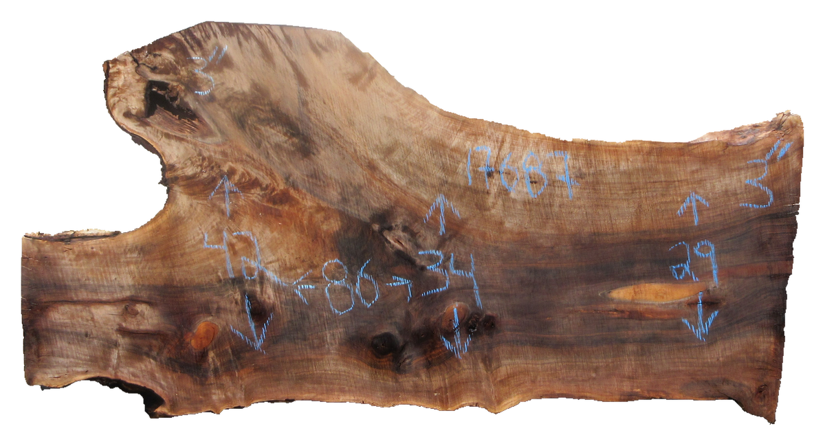 Claro Walnut Slab #17687