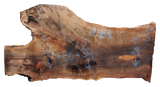 Claro Walnut Slab #17687