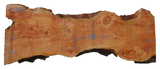 Spruce Live Edge #08250