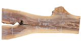 Black Walnut 8/4 Live Edge #731