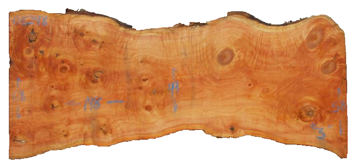 Spruce Live Edge #08248