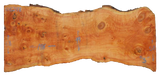 Spruce Live Edge #08248