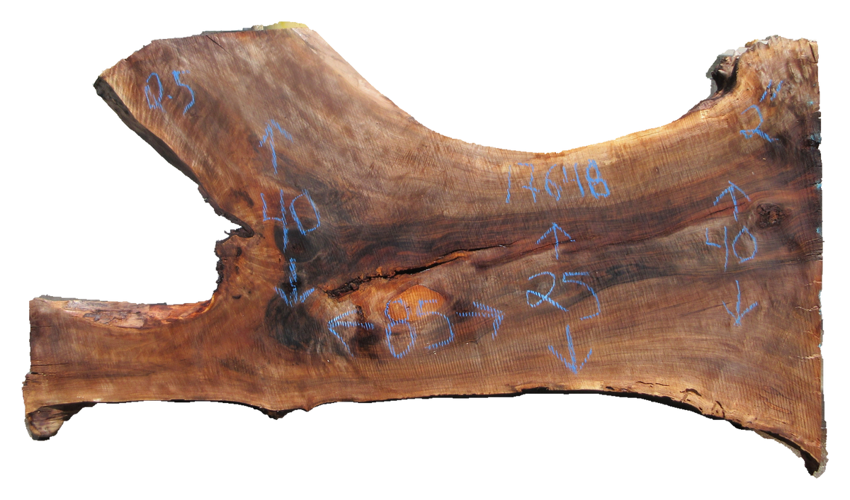 Claro Walnut Slab #17684