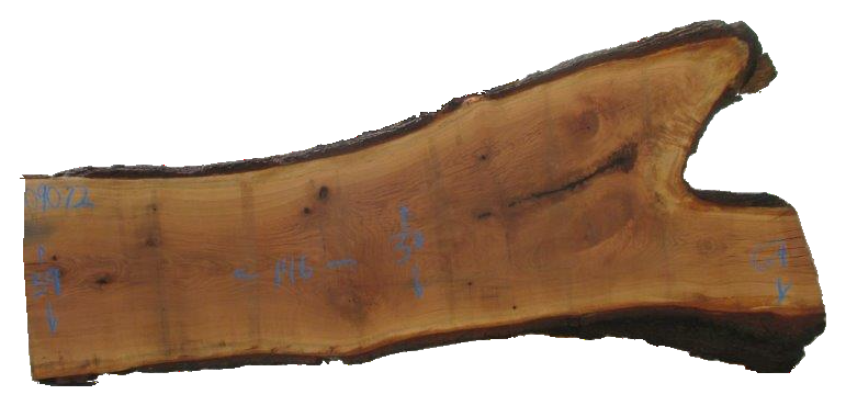 American White Oak Live Edge #09072