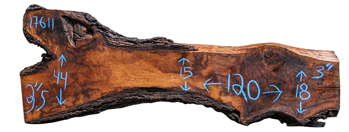 Claro Walnut Slab #17611