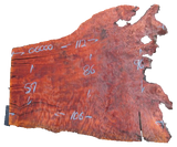 Redwood Live Edge #06000