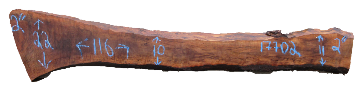 Claro Walnut Slab #17702