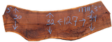 Claro Walnut Slab #17711