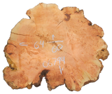 Fir Burl Live Edge #06794