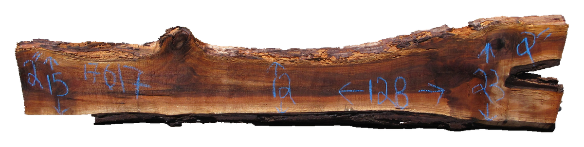 Claro Walnut Slab #17617