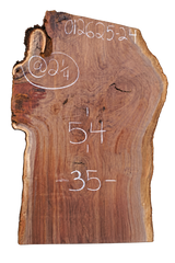 Black Walnut Live Edge #012625-24