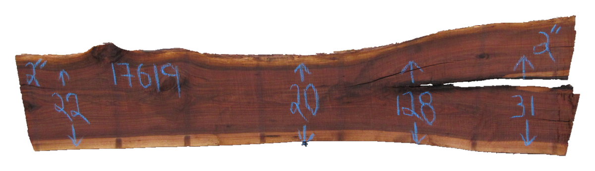 Claro Walnut Slab #17619