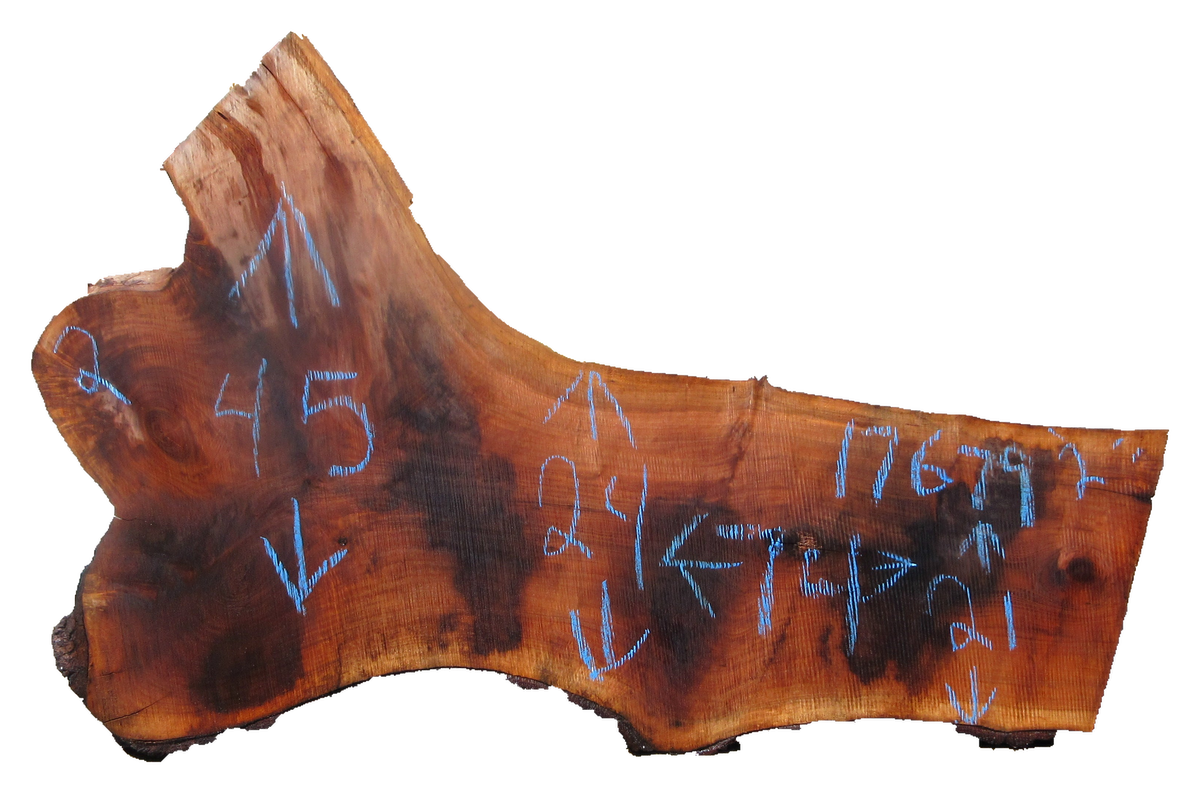 Claro Walnut Slab #17679