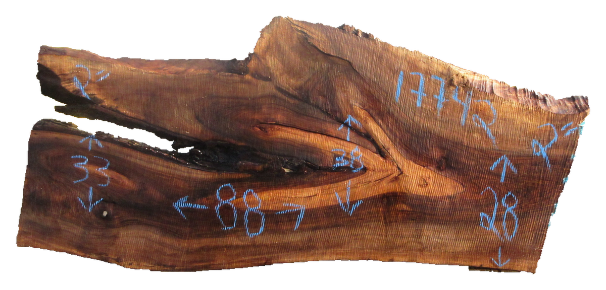 Claro Walnut Slab #17742