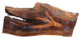Claro Walnut Slab #17742