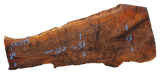 Bastogne Walnut Slab #06549