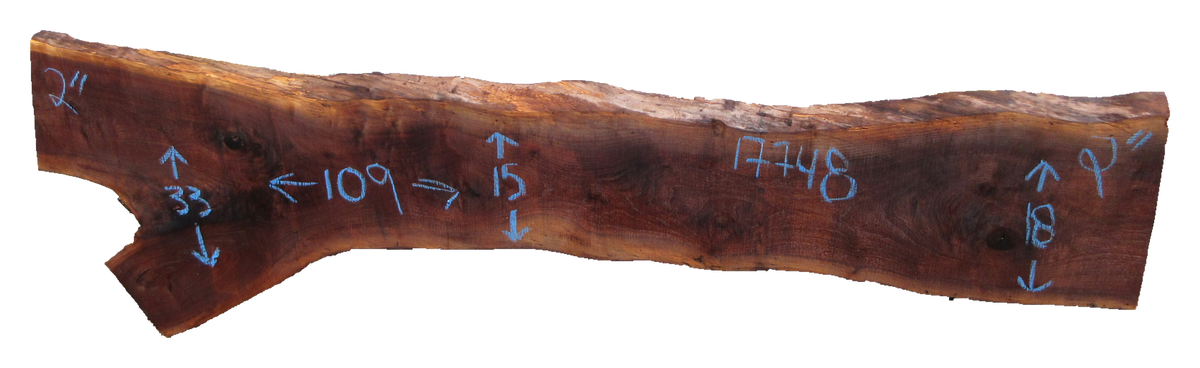 Claro Walnut Slab #17748