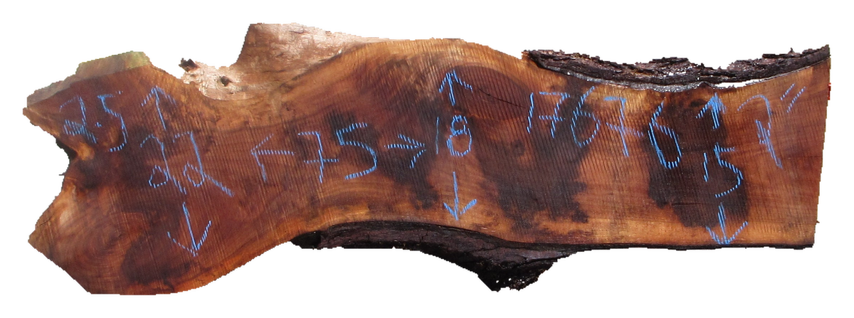 Claro Walnut Slab #17676