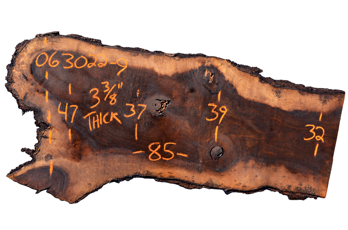 Black Walnut Live Edge #063022-09
