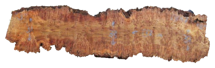 Cottonwood Live Edge #13067