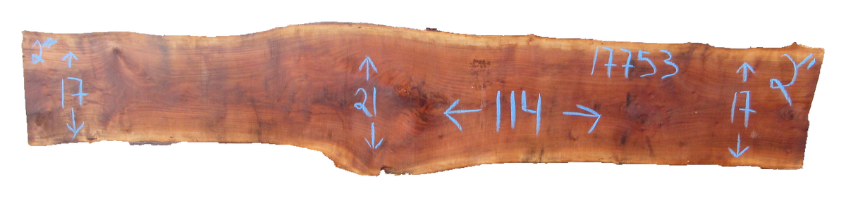 Claro Walnut Slab #17753