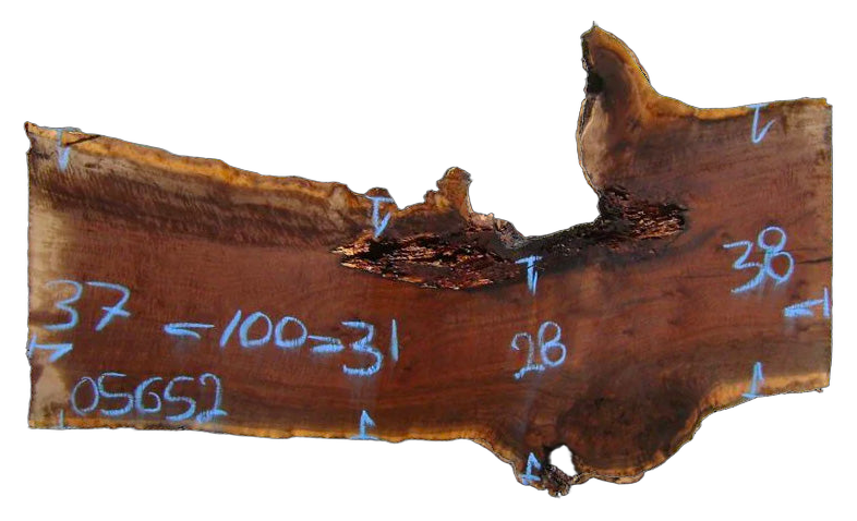 Claro Walnut Live Edge #05652