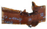 Claro Walnut Live Edge #05652