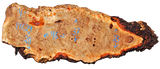 Mappa Burl Live Edge #14629