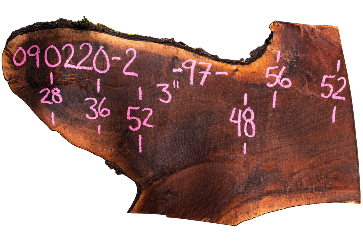 Black Walnut Live Edge #090220-02