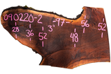 Black Walnut Live Edge #090220-02
