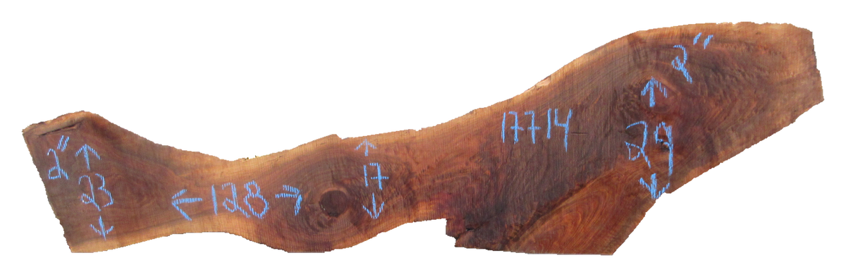 Claro Walnut Slab #17714
