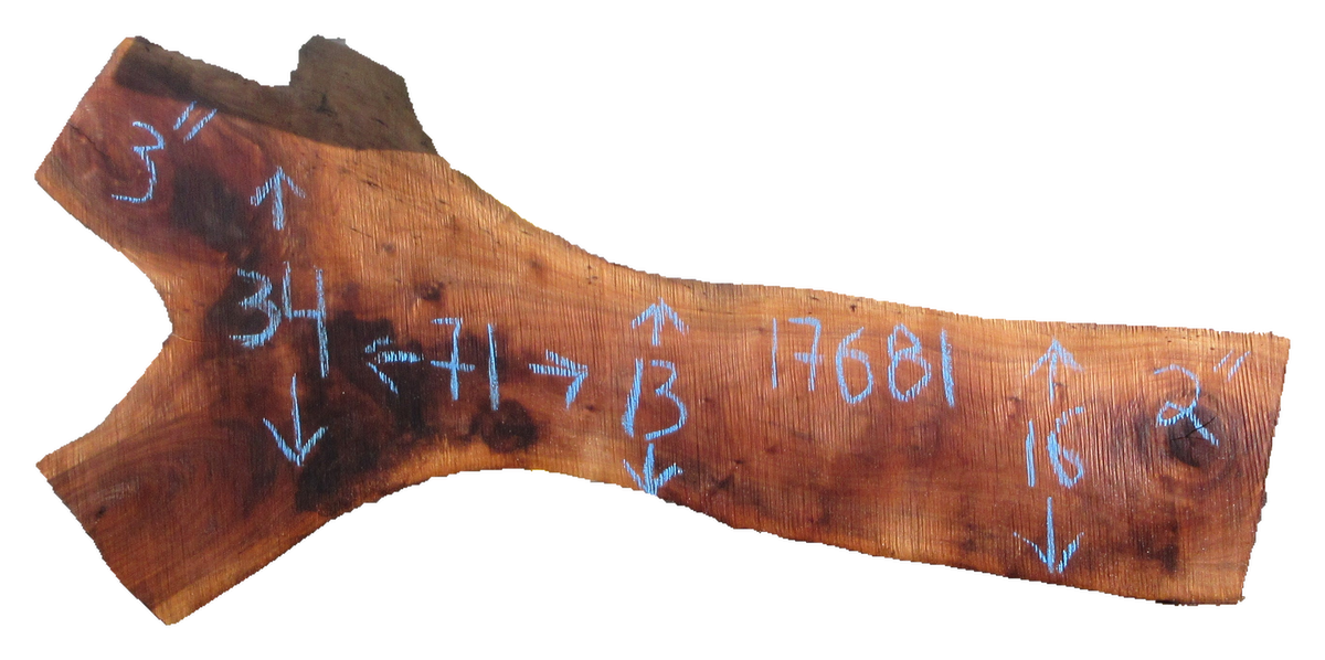 Claro Walnut Slab #17681