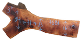 Claro Walnut Slab #17681