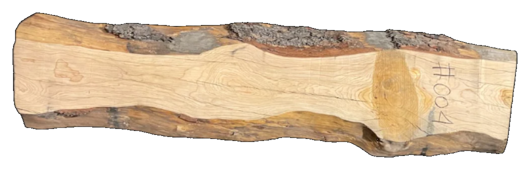 Podocarpus 12/4 Live Edge #004