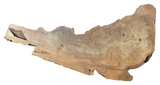 Sycamore Burl 12/4 Live Edge #004
