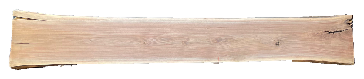 Black Walnut 8/4 Live Edge #550