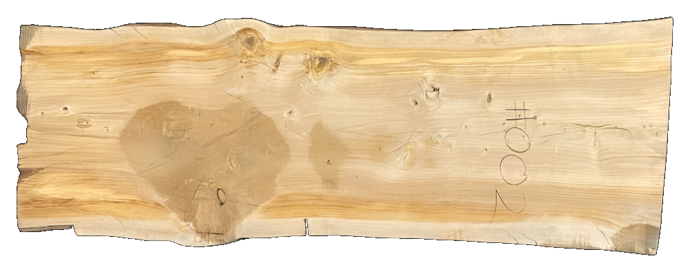 Podocarpus 12/4 Live Edge #002