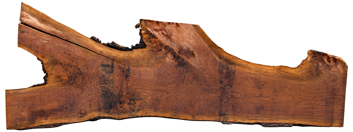 Claro Walnut Slab #17610