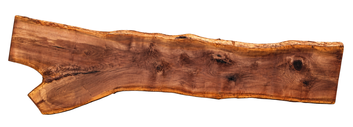 Claro Walnut Slab #17749