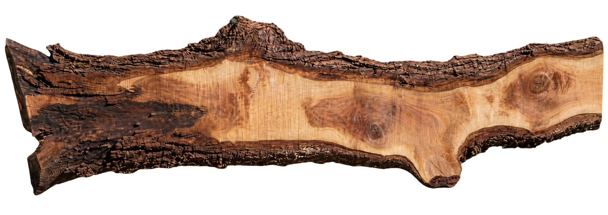 Claro Walnut Slab #17639