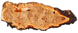 Mappa Burl Live Edge #14629