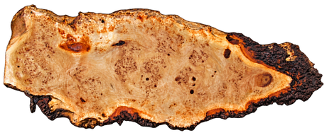 Mappa Burl Live Edge #14629