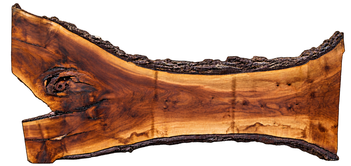 Claro Walnut Slab #17781