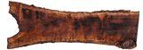 Claro Walnut Slab #17673