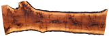 Claro Walnut Slab #17630