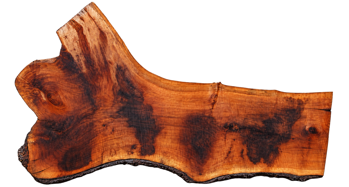 Claro Walnut Slab #17679