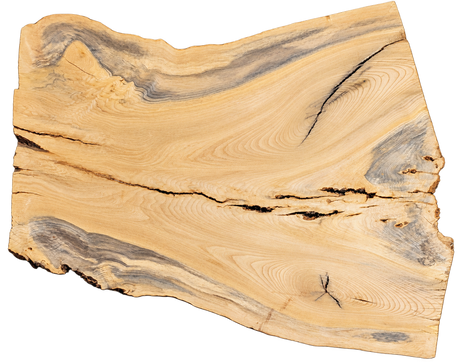 Ash Live Edge #066