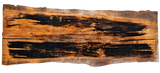 ES Maple Live Edge #008