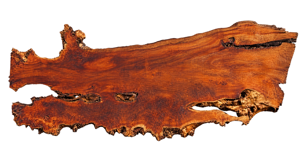 California Cottonwood Live Edge #07663