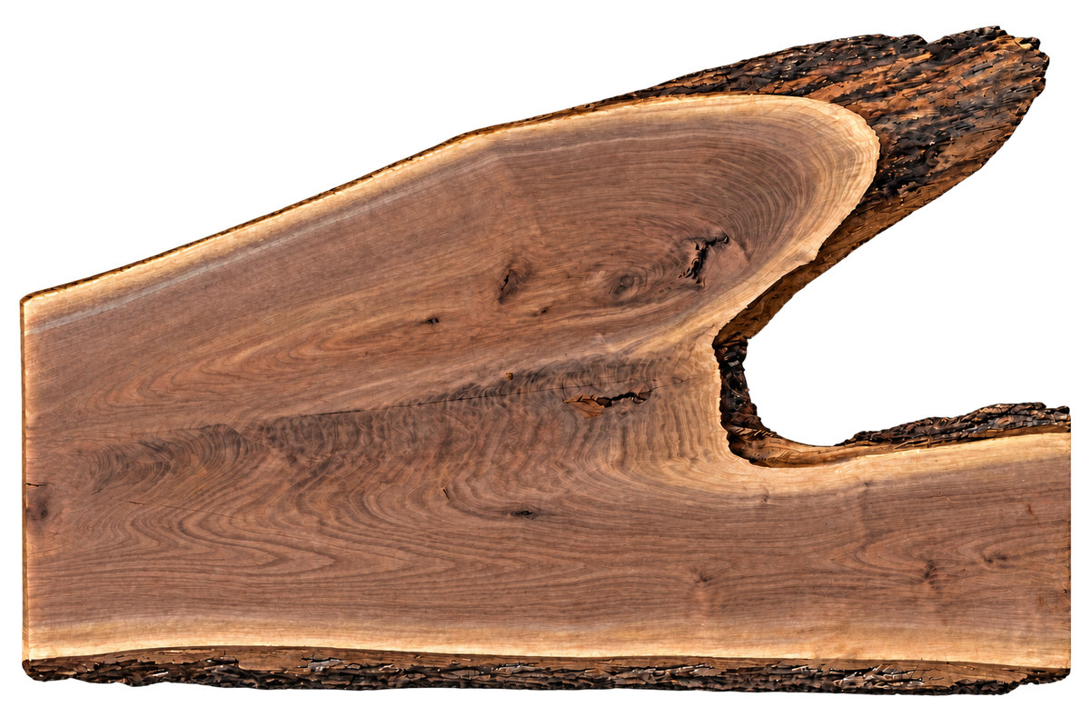Black Walnut 10/4 Live Edge #537